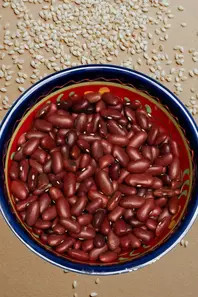 Red_Beans_Sesame_Scallions_Ayurvedic_Recipe_Cuisine_Vegetarian_Dish_Diet_Nutritious_Delicious_Food_Vegan_Healthful_Refreshing_Cooking_Natural_Ayurveda_Ayurvedic_Food_Ayurveda